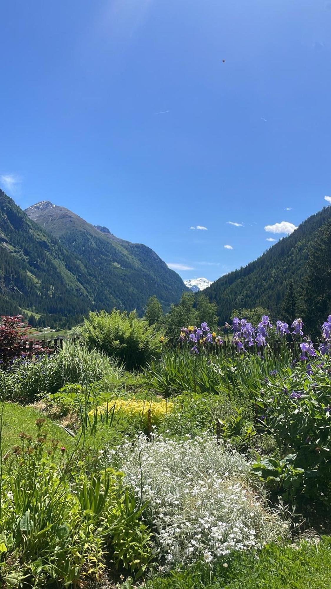 Apart Sonnenheim Kaunertal Exteriör bild